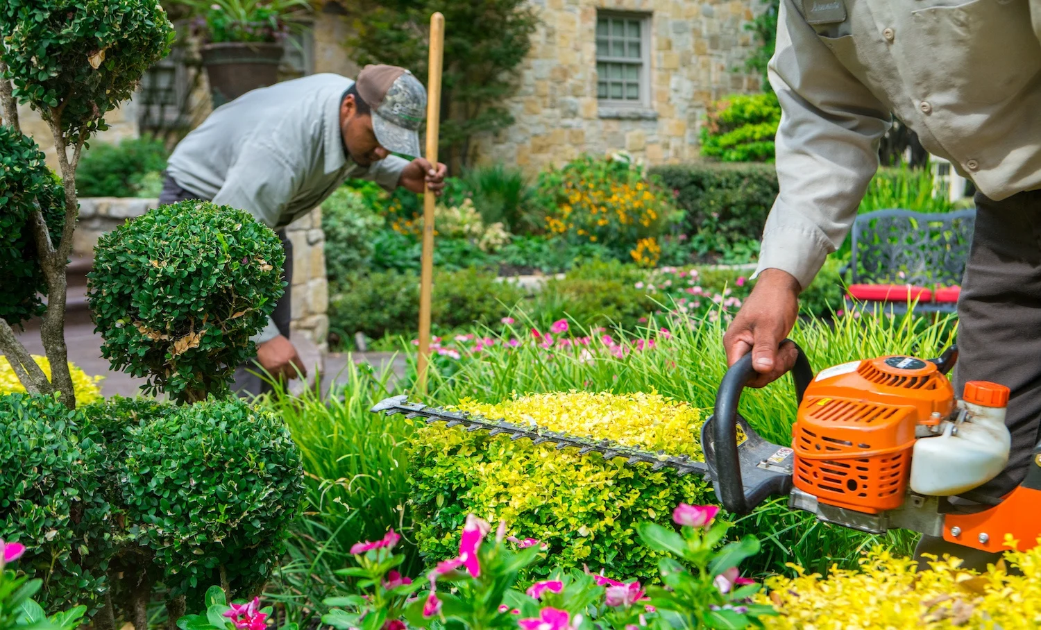 Garden cleaning, landscaping and plant maintenance service