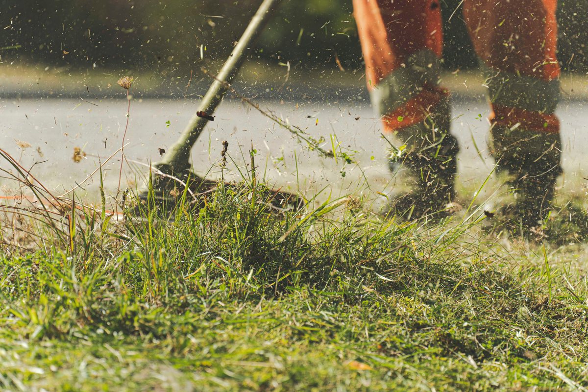 Grass cutting, lawn maintenance and grass planting service