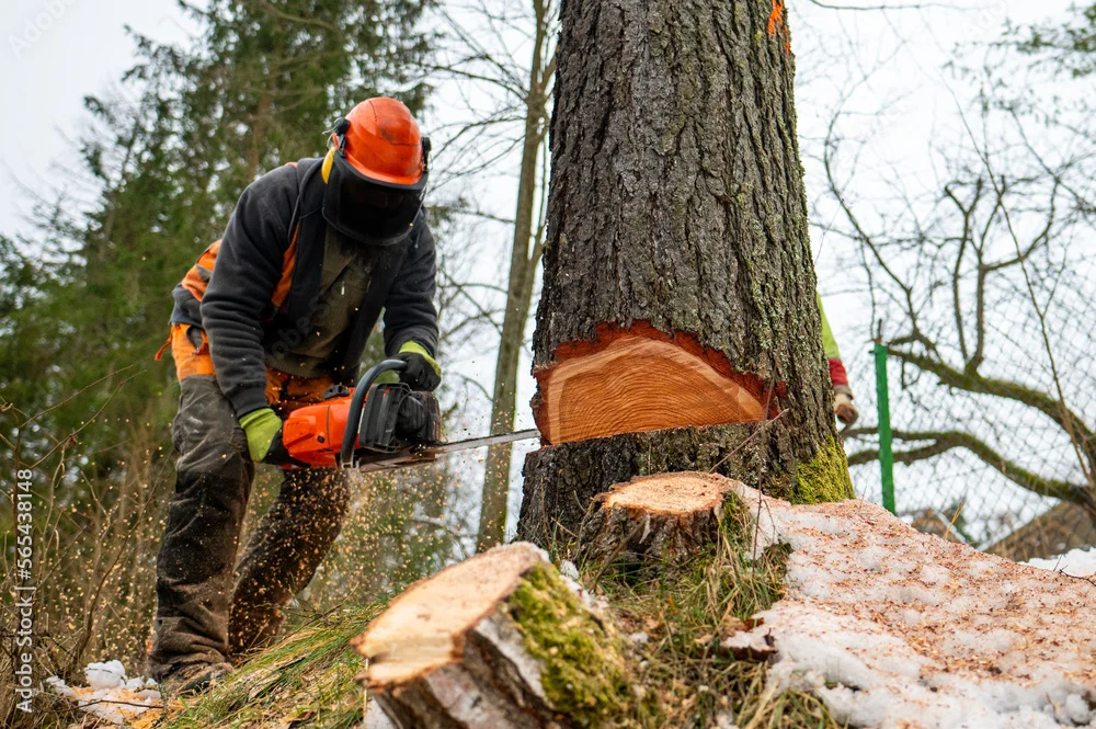 Tree cutting worker providing residential property services in Malaysia